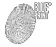 blueprint